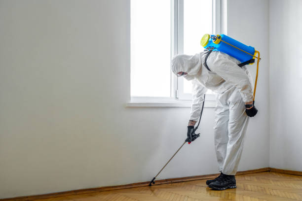 Wildlife Control Services in North Augusta, SC